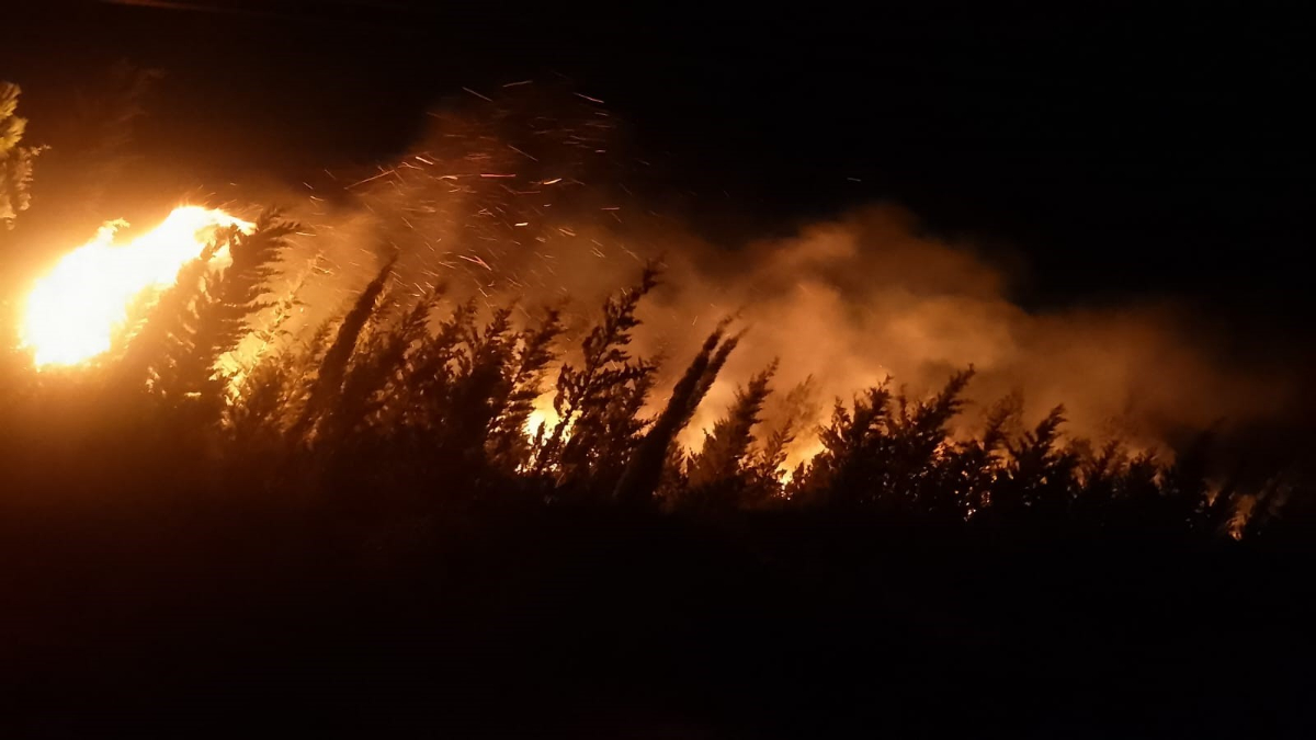 İzmir’in Urla ilçesinde çıkan yangın kontrol altına alındı