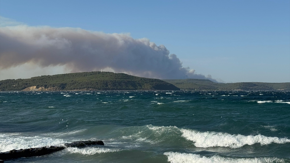 Çanakkale Gelibolu'da orman yangını