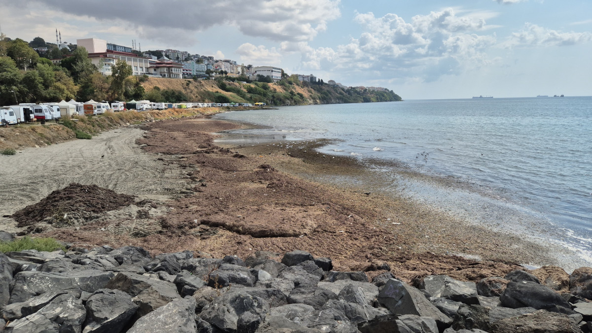 Tekirdağ'da deniz adeta kara toprak parçasına dönüştü