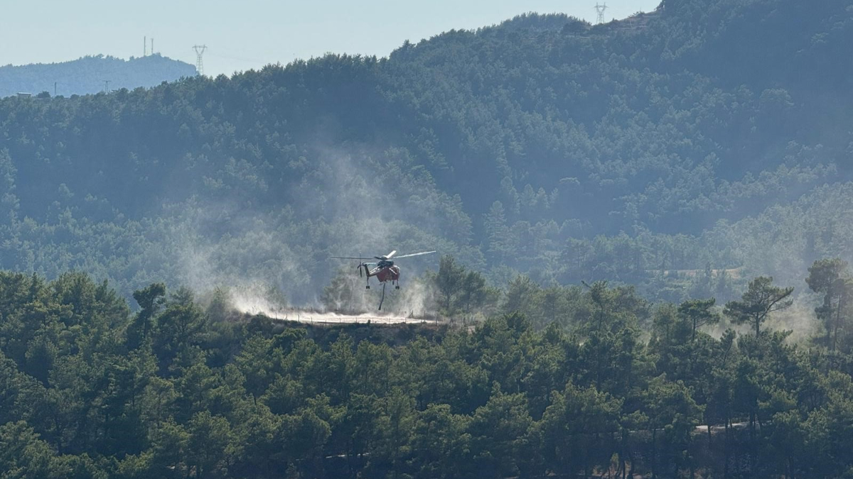 Antalya’da ormanlık alanda yangın çıktı