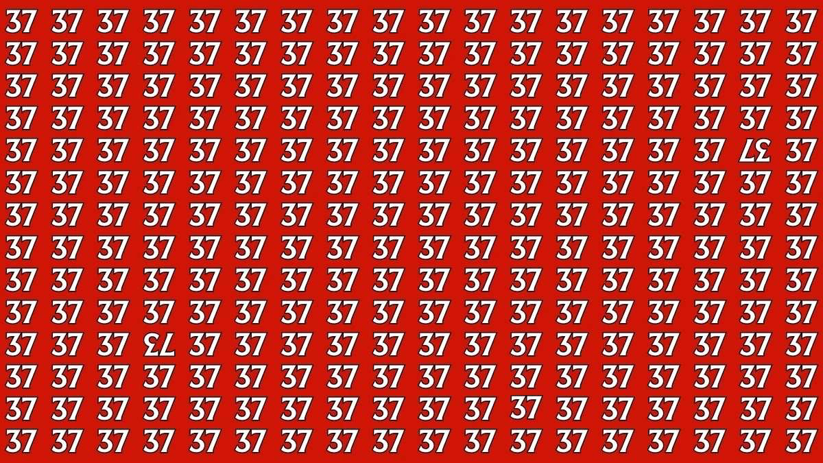 Gören dahiyim diyor: 37’lerin arasındaki 73 sayısını bulun