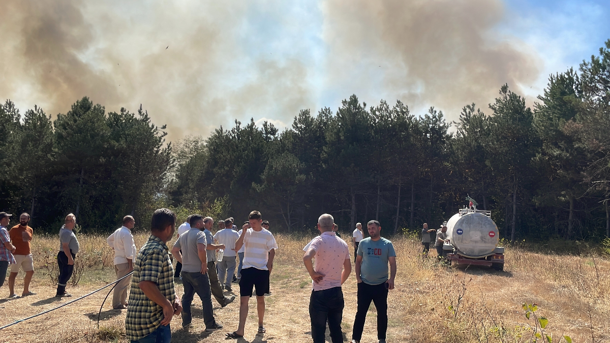 Sakarya'da orman yangını çıktı