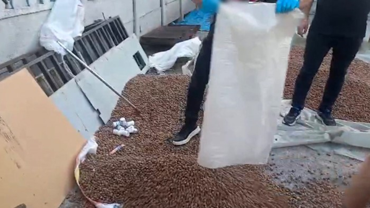 Sakarya'da fındık çuvalının içinde çok sayıda uyuşturucu madde çıktı