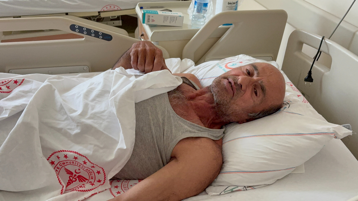 Sakarya'da ayı saldırısına uğrayan adam, ağaca tırmanarak kurtuldu