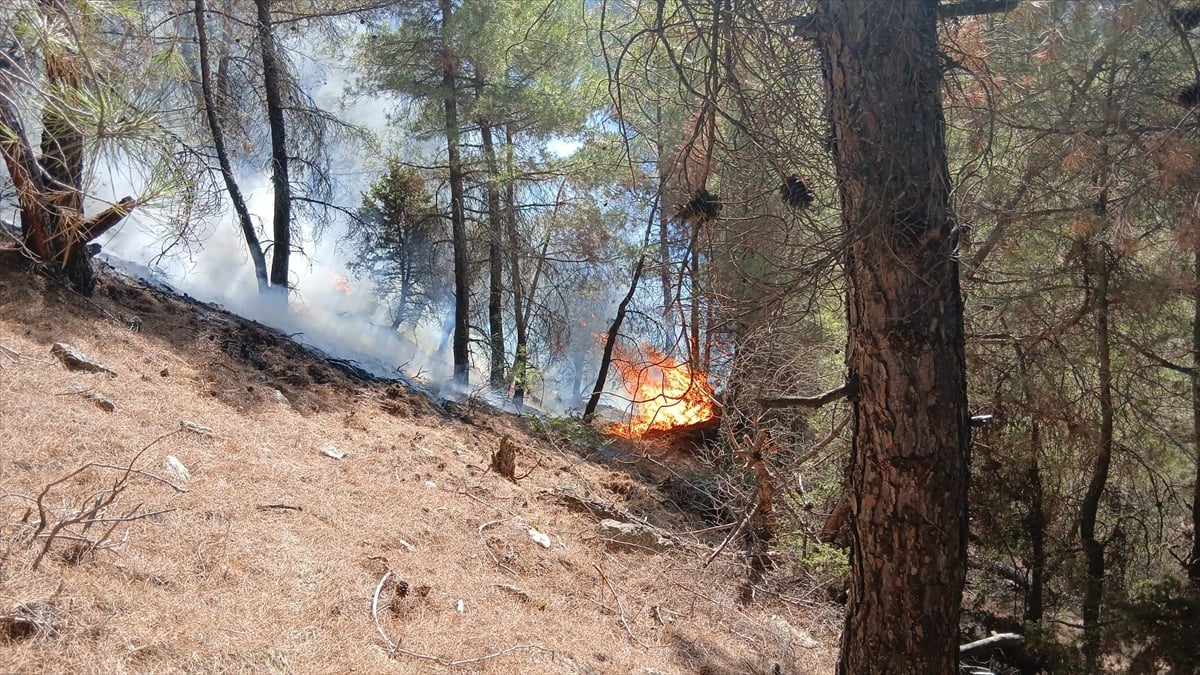 Denizli'nin Buldan ilçesinde orman yangını