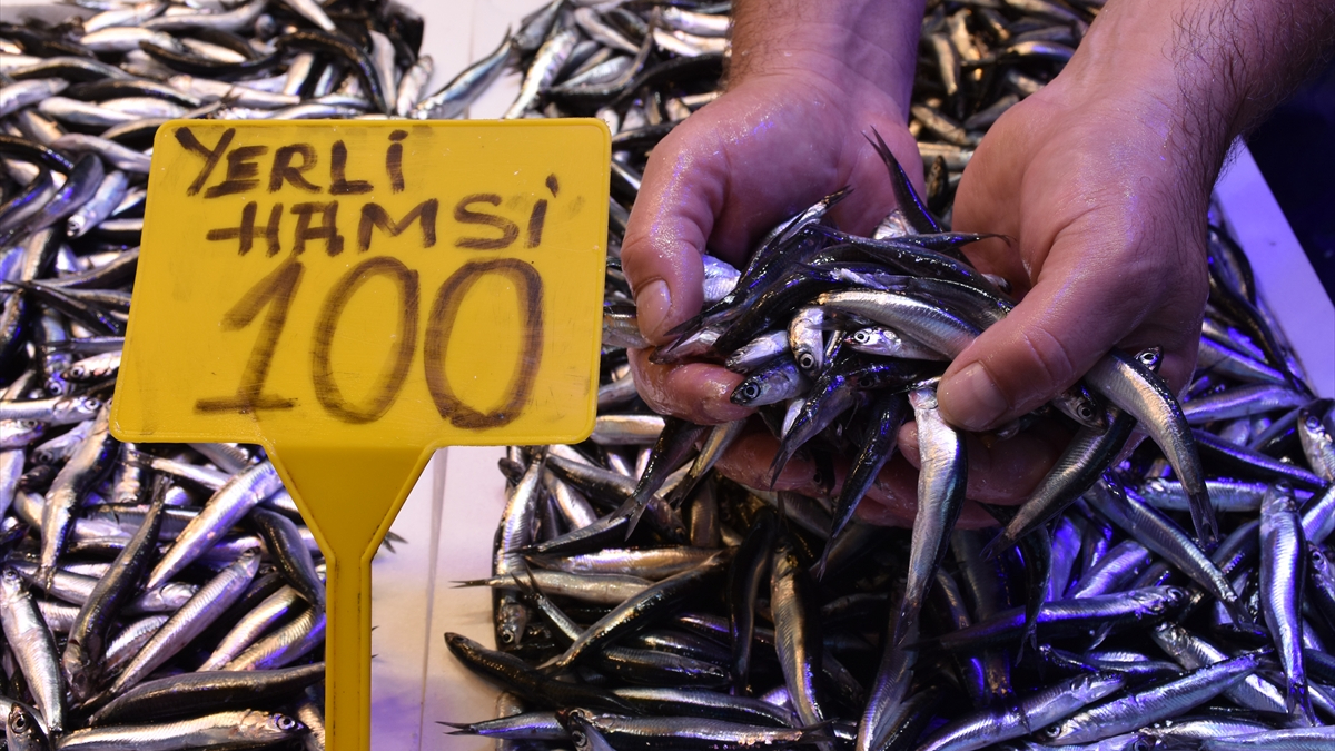 Trabzon'da hamsi ve istavritin kilogramı 100 lira