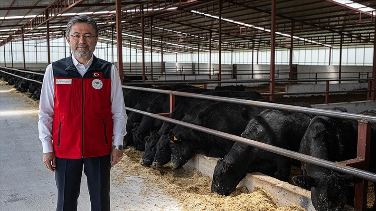 İbrahim Yumaklı: Büyükbaş ve küçükbaş hayvan sayısında artış yaşandı