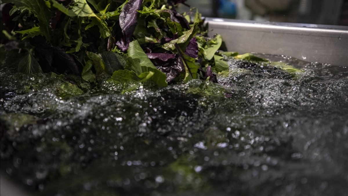 Sağlığınızı riske atmayın: Sebze ve meyvelerdeki pestisit kalıntılarıyla vedalaşın