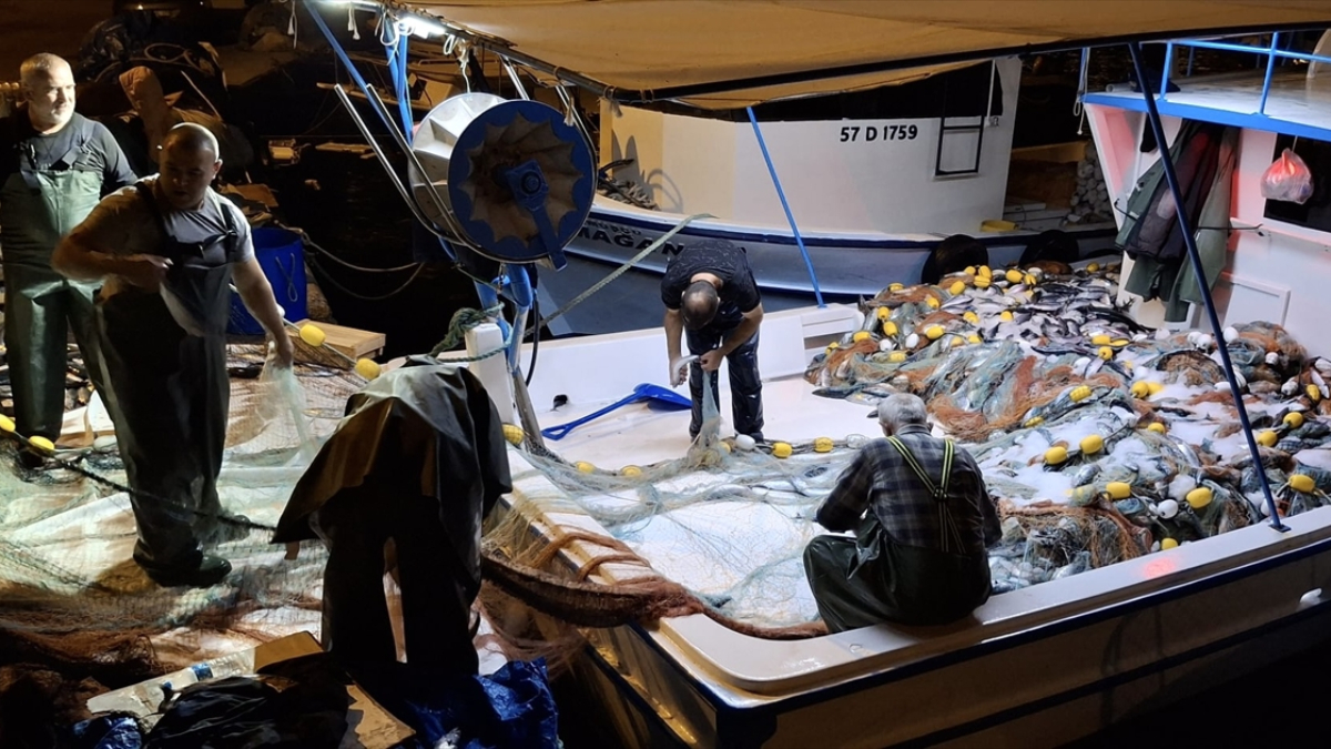 Sinop'ta bereketli av: Bir gecede 9 bin palamut yakalandı