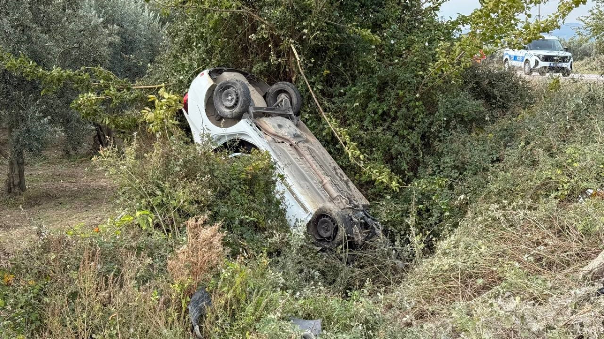 Bursa'da hatalı sollama yapan sürücü zeytinliğe uçtu