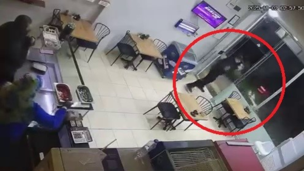 Bursa'da kaza yaparak ilerlediği caddedeki iş yerine çarptı: Kazanın ardından kaçtı