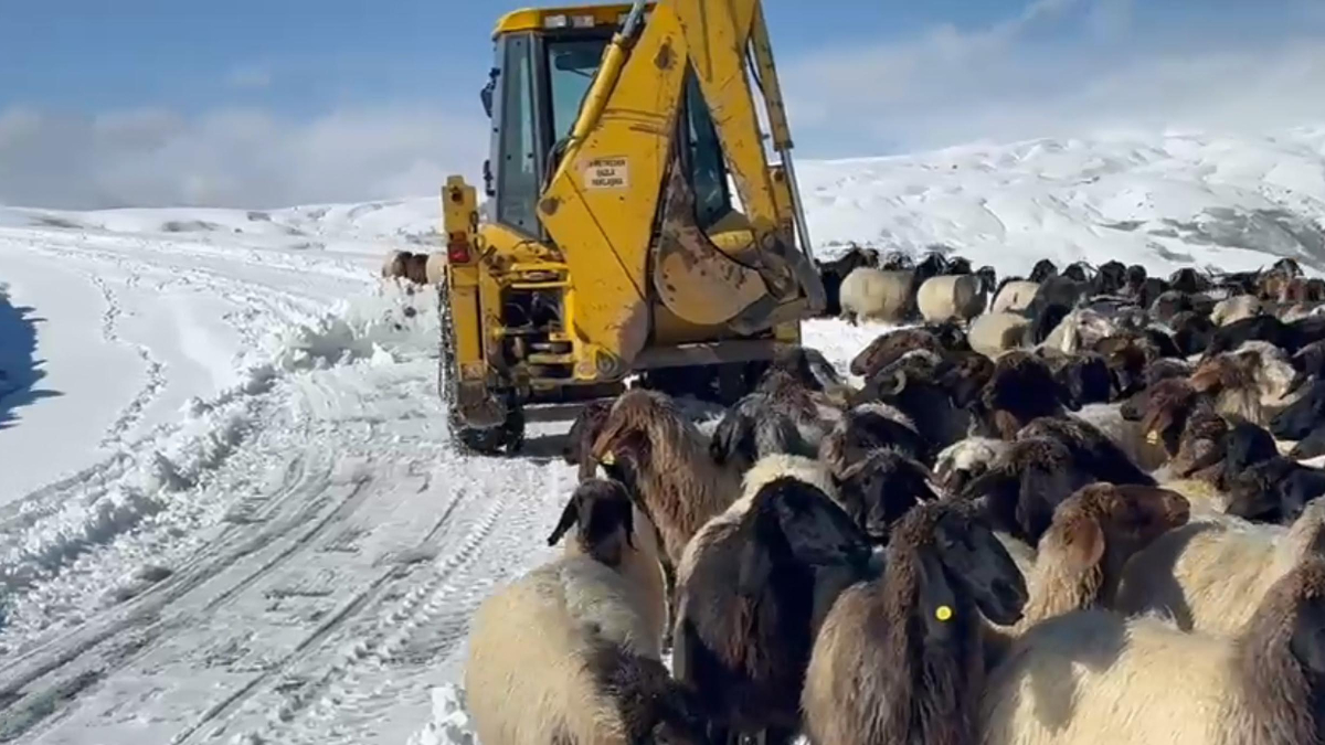 Muş'ta kar ve tipi etkili oldu: 14 köy yolu ulaşıma kapandı