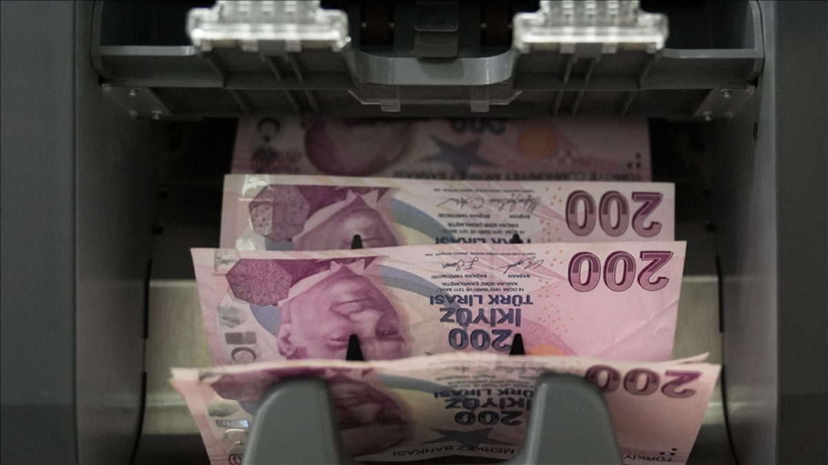 Sosyal ve Ekonomik Destek ödemeleri hesaplara yatırıldı