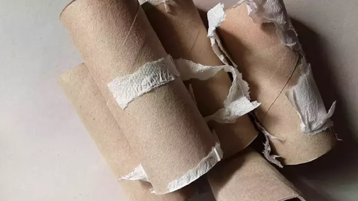 Tuvalet kağıdı rulolarını çöpe atan pişman oluyor! İşte sebebi