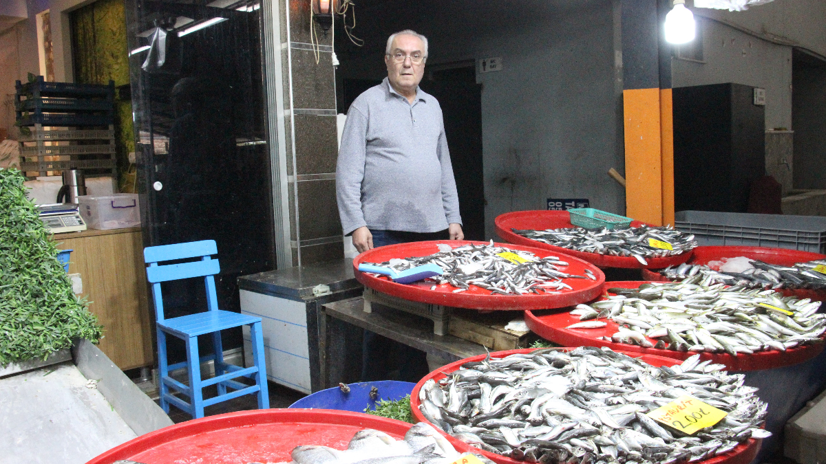 Aydın'da balık tezgahlarının en çok tercih edilen çeşidi hamsi oldu