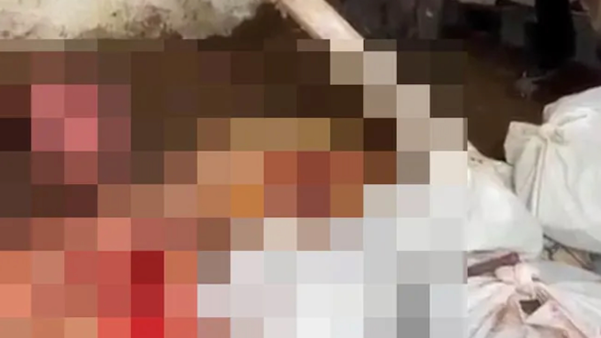 İstanbul'da bir depoda at kesim: 2 gözaltı