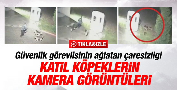 Silivri'de güvenlikçinin öldüğü köpek saldırısı kamerada