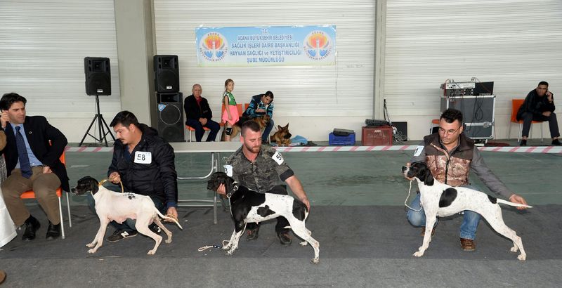 Adana Da Irk Yarismasi Duzenlendi