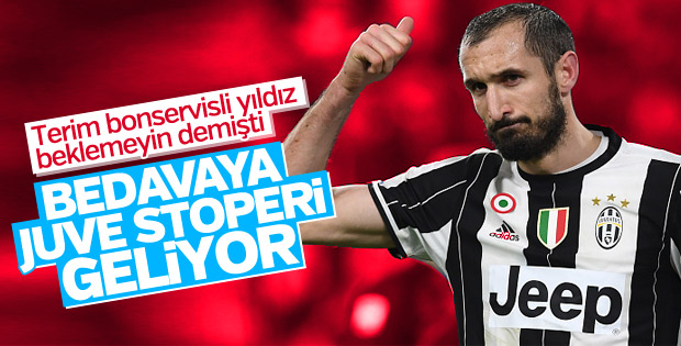 Galatasaray Dan Chiellini Atagi
