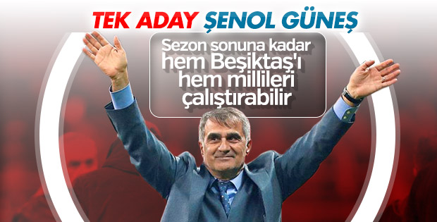 Lucescu'nun yerine tek aday Şenol Güneş
