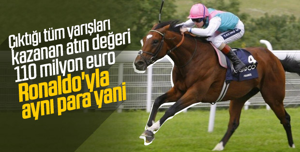 Tarihin en pahalı atı: Frankel