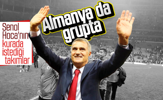 Şenol Güneş: Almanya ve Fransa gelsin