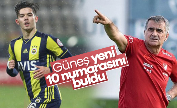 Şenol Güneş, Ferdi'yi milli takıma istiyor