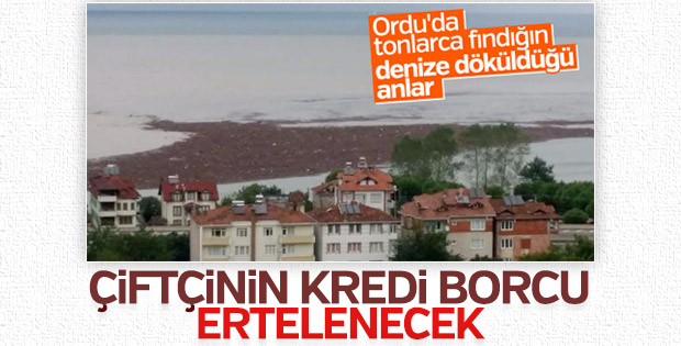 Tarım Bakanlığı'ndan Ordu'daki çiftçiler için açıklama