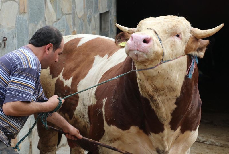 Kurban Kesmek Farz Mıdır