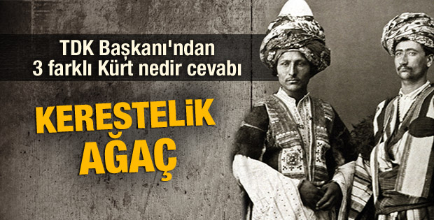 TDK Başkanı Mustafa Kaçalin'den Kürt kelimesinin anlamı