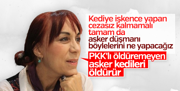 Leman Sam Mehmetçik'e lanet okudu