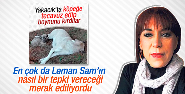 Köpeğe tecavüz edip boynunu kırdılar