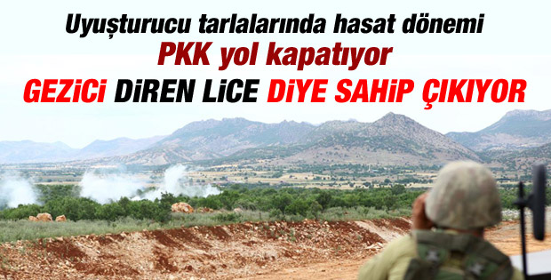 Lice'de aslında ne oluyor
