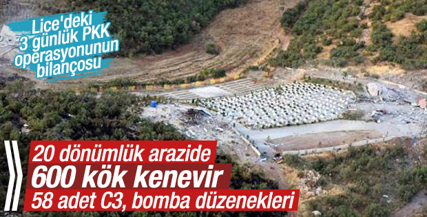 Lice'deki operasyonun bilançosu açıklandı