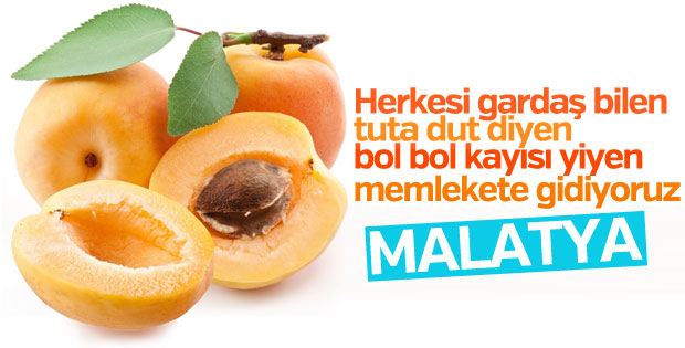 Herkesi ‘gardaş’ bilen şehir: Malatya