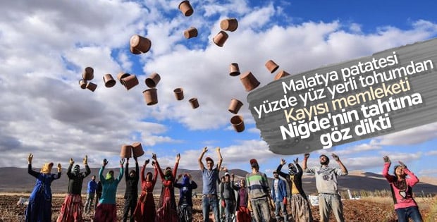 Malatya'da 3 yerli ve milli tohumun ekimi yapıldı