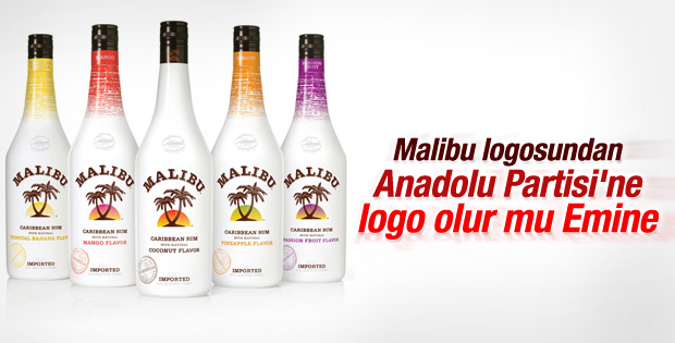Anadolu Partisi'nin logosu Malibu'dan çalıntı çıktı