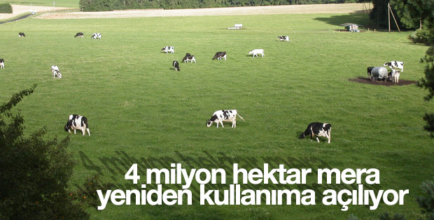 4 milyon hektar mera yeniden kullanıma açılıyor