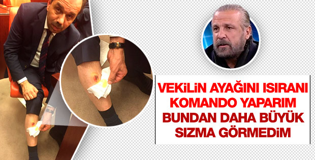Mete Yarar: Vekilin ayağını ısıranı komando yaparım