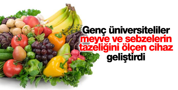 Meyve ve sebzelerin tazeliğini ölçen cihaz geliştirildi