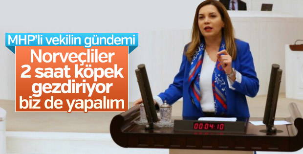 MHP'li Arzu Erdem'den hayvanları gezdirelim çıkışı
