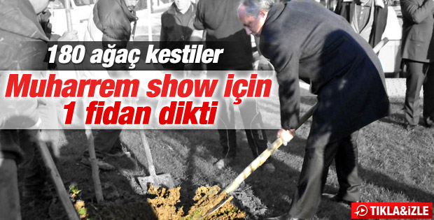 Muharrem İnce özür dileyerek fidan dikti