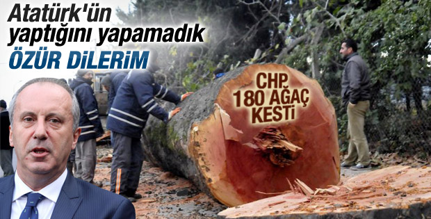 Muharrem İnce'den ağaç katliamı için açıklama