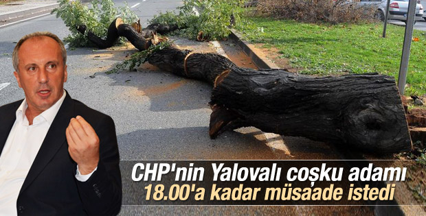 Muharrem İnce ağaç katliamı için açıklama yapacak