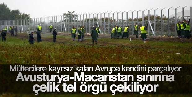 Avusturya Macaristan sınırına tel örgü çekecek