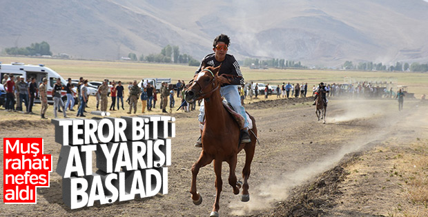 Muş'ta terör bitti, ata sporu at yarışları hız kazandı