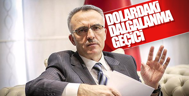 Maliye Bakanı: Döviz ve petroldeki dalgalanma geçici