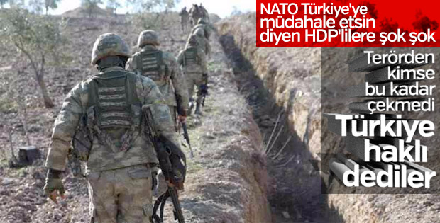 NATO: Türkiye güvenlik endişelerini çözme hakkına sahip