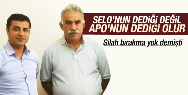 Demirtaş PKK silah bırakmaz demişti