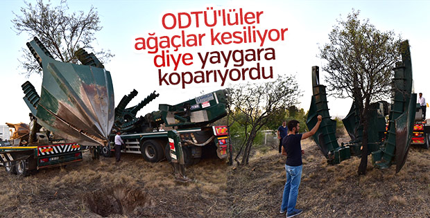ODTÜ'de ağaçlar katlediliyor yalanı
